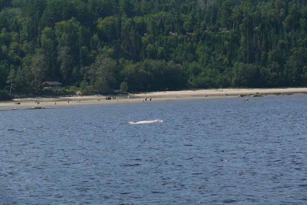 Riviere Petit Saguenayヴィラ エクステリア 写真
