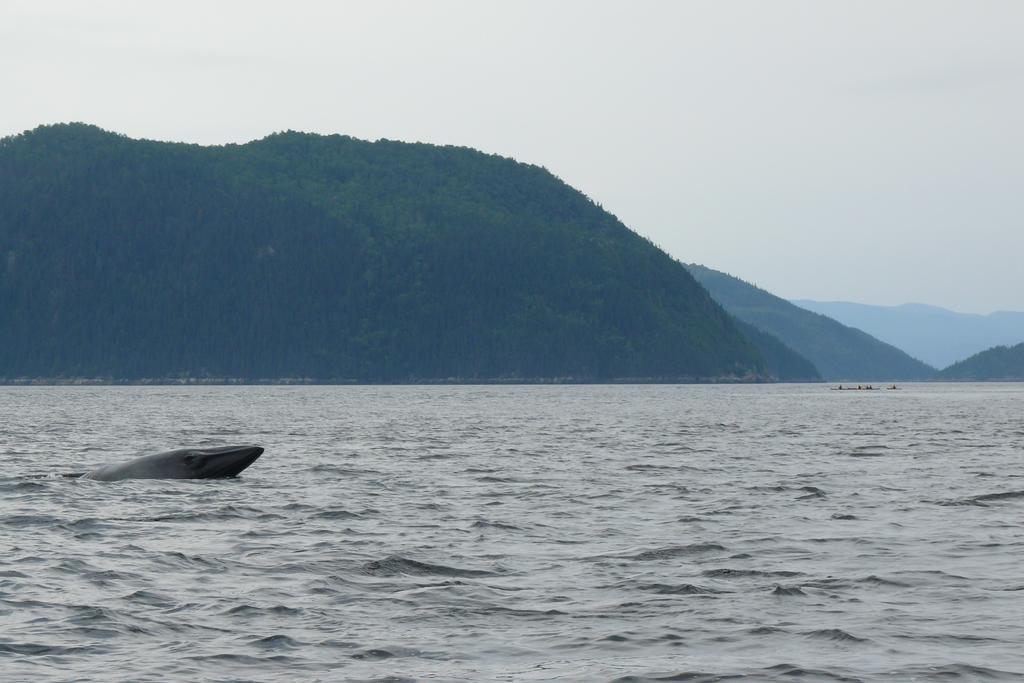 Riviere Petit Saguenayヴィラ エクステリア 写真